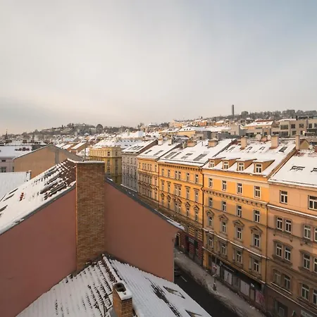 Mymozart By Rentez * Prag